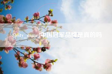 永新中国冠军品牌是真的吗