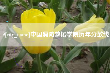 永新中国消防救援学院历年分数线