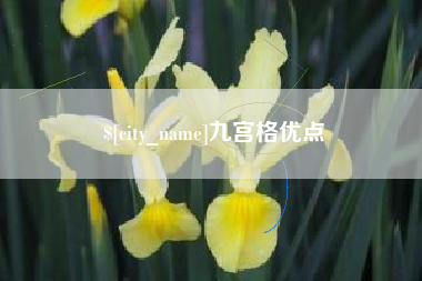 永新九宫格优点