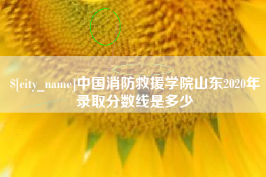 永新中国消防救援学院山东2020年录取分数线是多少