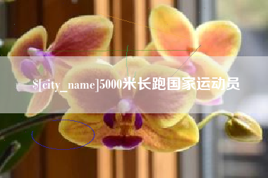永新5000米长跑国家运动员
