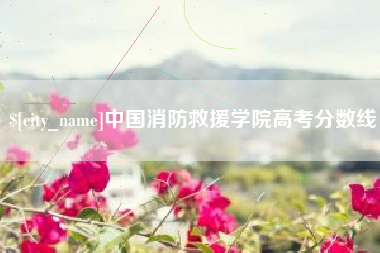 永新中国消防救援学院高考分数线