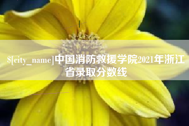 永新中国消防救援学院2021年浙江省录取分数线