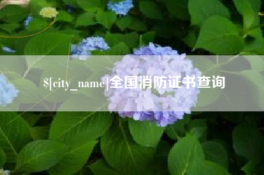 永新全国消防证书查询