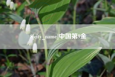 永新中国第9金