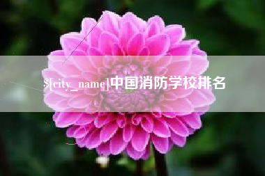 永新中国消防学校排名