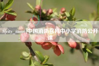 永新中国消防官网中小学消防公开课