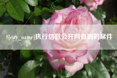 永新执行信息公开网查到的案件