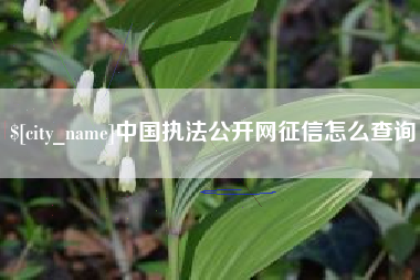 永新中国执法公开网征信怎么查询