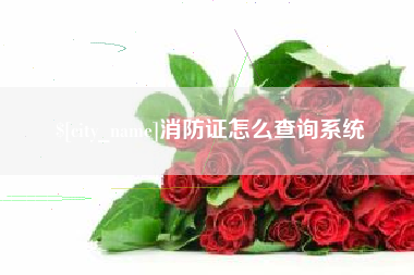 永新消防证怎么查询系统