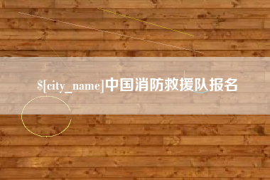 永新中国消防救援队报名