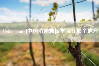 永新中国消防救援学院在那个地方