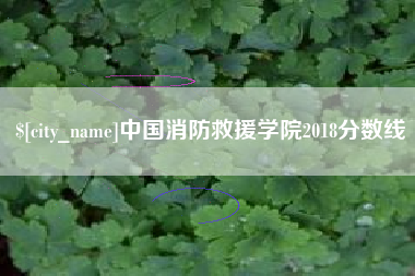 永新中国消防救援学院2018分数线