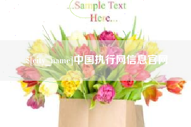 永新中国执行网信息官网