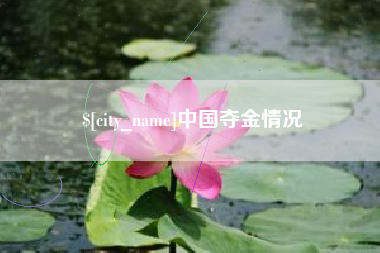 永新中国夺金情况