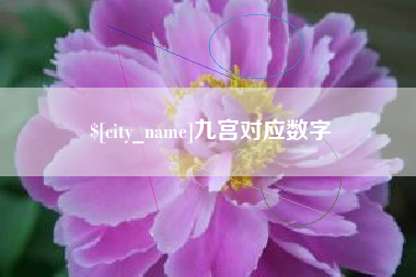 永新九宫对应数字