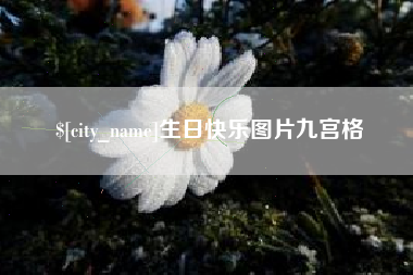 永新生日快乐图片九宫格
