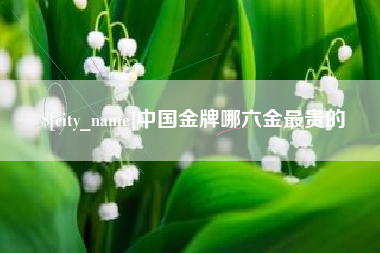 永新中国金牌哪六金最贵的
