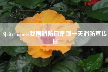 永新我国消防日是哪一天消防宣传日