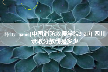 永新中国消防救援学院2021年四川录取分数线是多少
