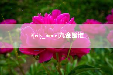 永新九金是谁