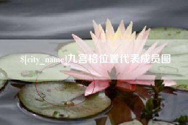 永新九宫格位置代表成员图
