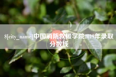 永新中国消防救援学院2019年录取分数线