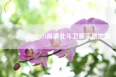永新2024高清北斗卫星实景地图