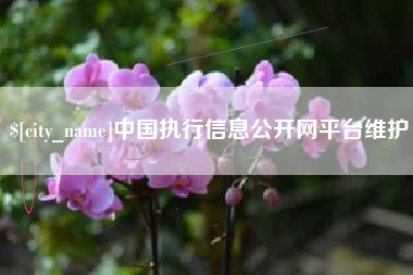 永新中国执行信息公开网平台维护