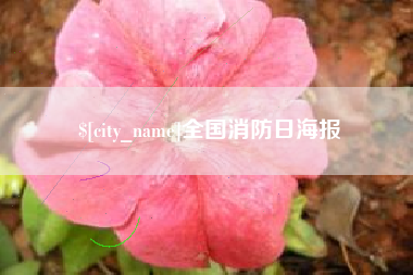 永新全国消防日海报