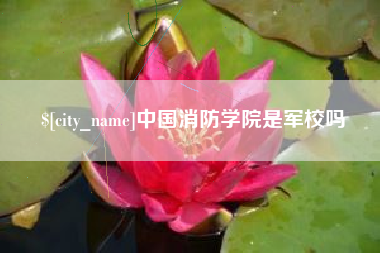 永新中国消防学院是军校吗