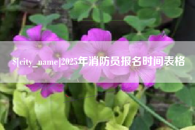 永新2025年消防员报名时间表格