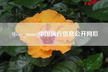 永新中国执行信息公开网后