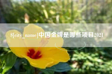 永新中国金牌是哪些项目2021
