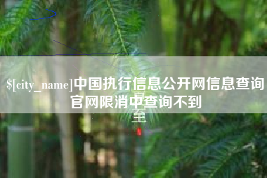 永新中国执行信息公开网信息查询官网限消中查询不到