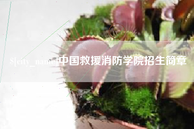 永新中国救援消防学院招生简章