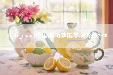 永新中国消防救援学院分数2020