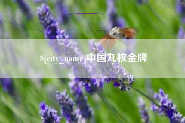 永新中国九枚金牌
