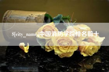 永新中国消防学院排名前十