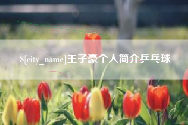 永新王子豪个人简介乒乓球