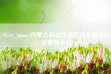 永新内蒙古自治区消防技术服务执业管理平台