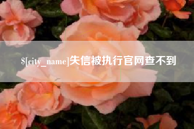 永新失信被执行官网查不到