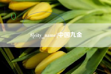 永新中国九金