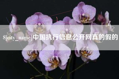 永新中国执行信息公开网真的假的