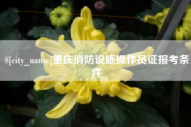 永新重庆消防设施操作员证报考条件