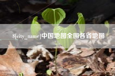 永新中国地图全图各省地图