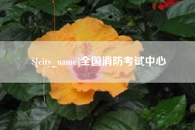 永新全国消防考试中心
