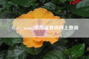 永新消防证查询网上查询