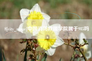 永新中国消防救援学院属于985吗