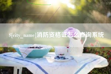 永新消防资格证怎么查询系统